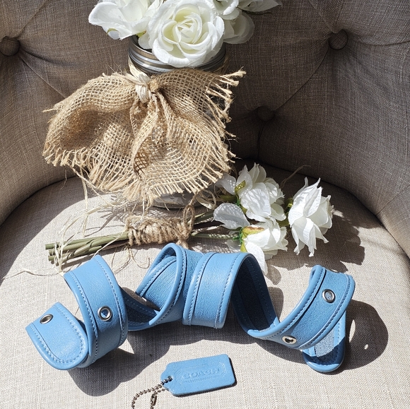 Vintage Coach Replacement Strap & Hangtag Set ( Glacier Blue ) - Picture 1 of 11